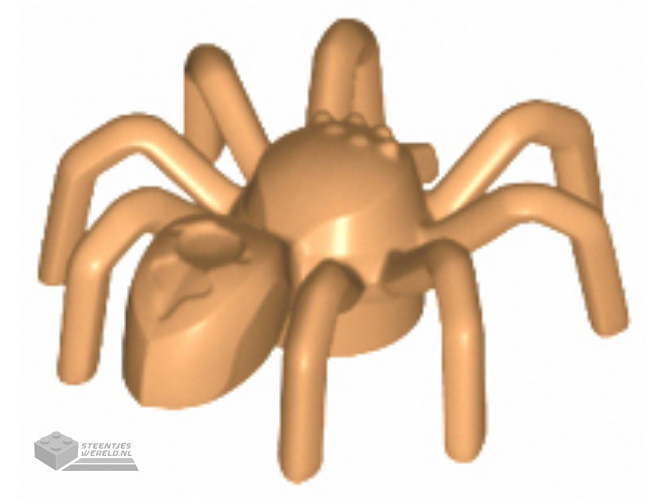 29111 – Spider met Elongated Abdomen