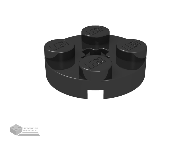4032 - Plaat, rond 2 x 2 met Technic as gat