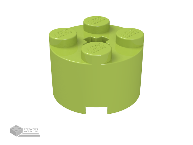 3941 – Steen, rond 2 x 2 met Technic as gat