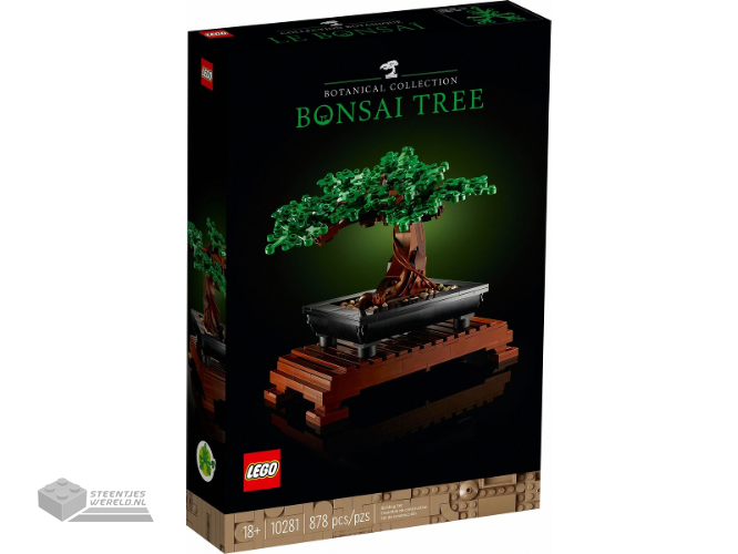 10281-1 - Bonsai Tree