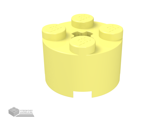 3941 – Steen, rond 2 x 2 met Technic as gat