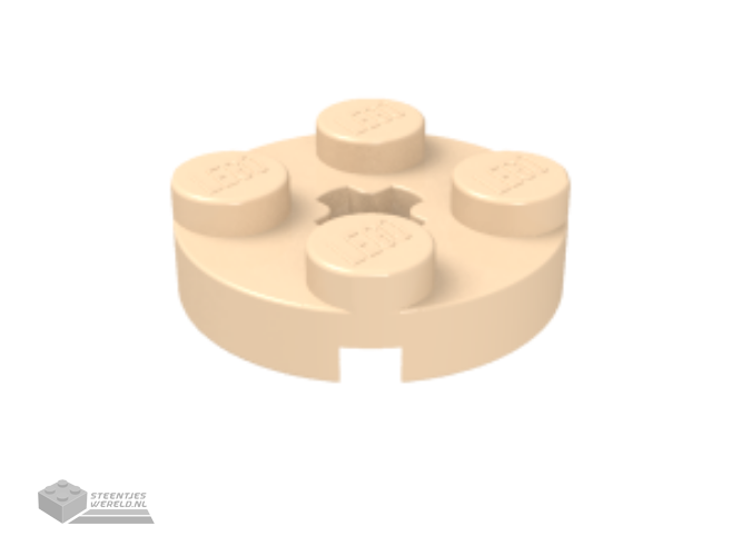 4032 – Plaat, rond 2 x 2 met Technic as gat