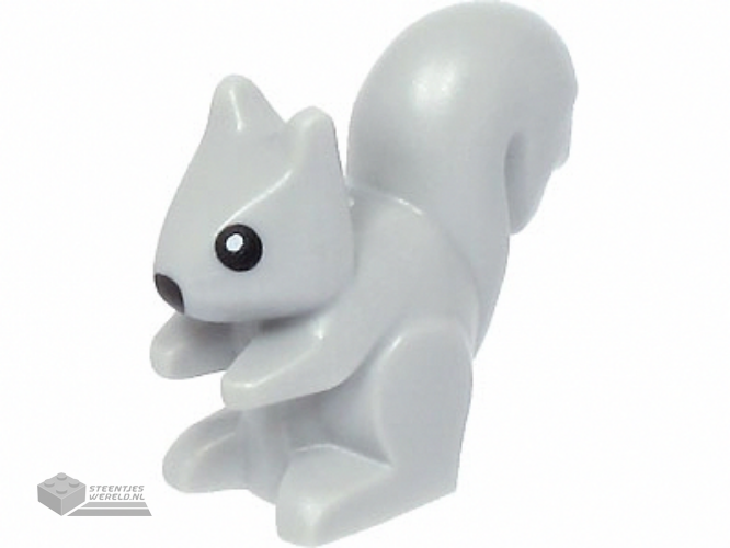 80679pb03 - Squirrel with Black Nose and Eyes with White Pupils Pattern