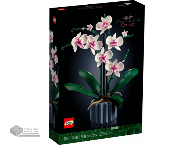 10311-1 – Orchid