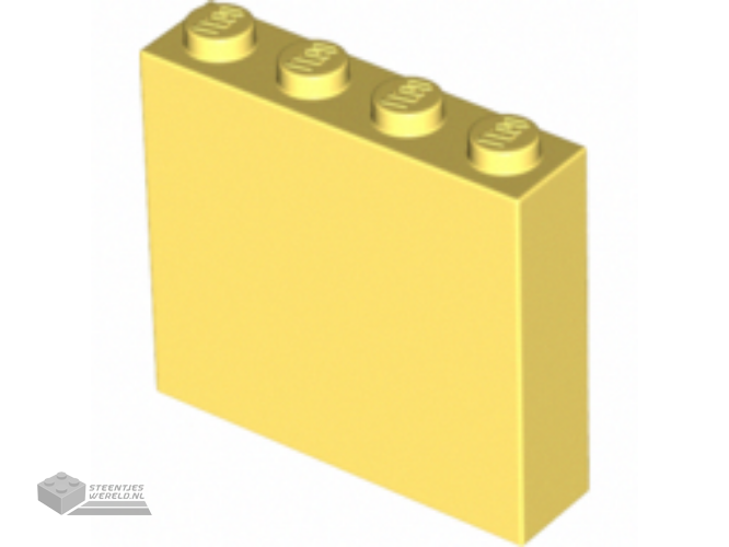 49311 – Steen 1 x 4 x 3