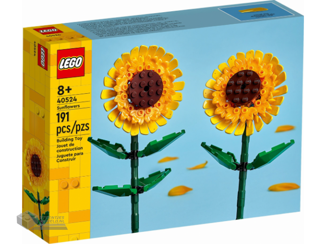 40524-1 – Sunflowers