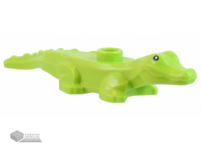 78532pb02 – Alligator / Crocodile Baby Hatchling with Black Eyes and White Pupils Pattern