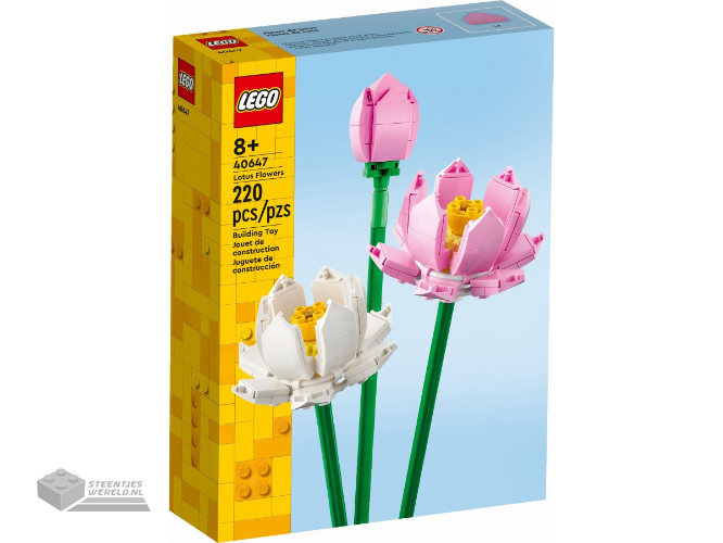 40647-1 – Lotus Flowers