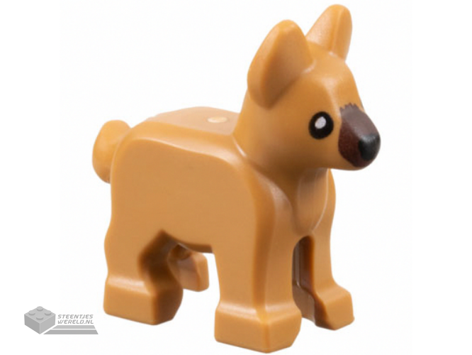 2889pb01 – Dog, Alsatian / German Shepherd, Puppy with Dark Brown Muzzle, Black Eyes and Nose Pattern