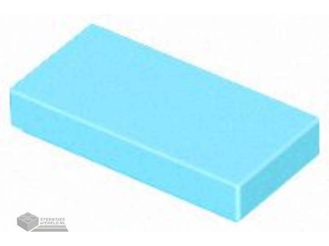 3069 – Tile 1 x 2 (Undetermined Type)