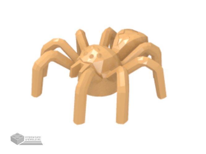 29111 – Spider met Elongated Abdomen