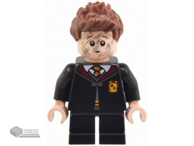 hp491 – Seamus Finnigan – Gryffindor Robe Clasped, Black Short Legs