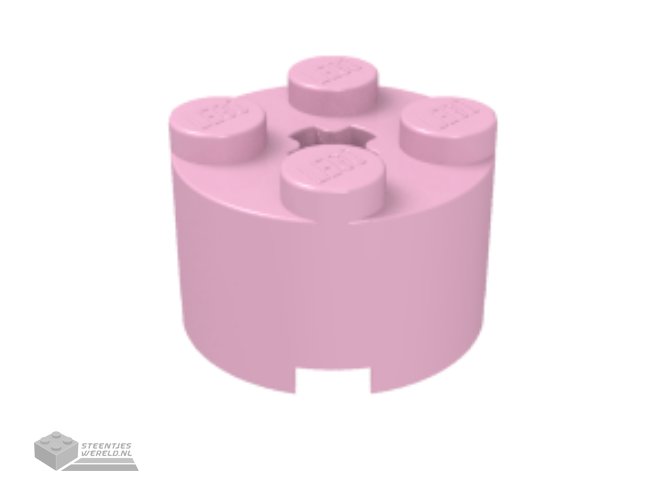 3941 – Steen, rond 2 x 2 met Technic as gat