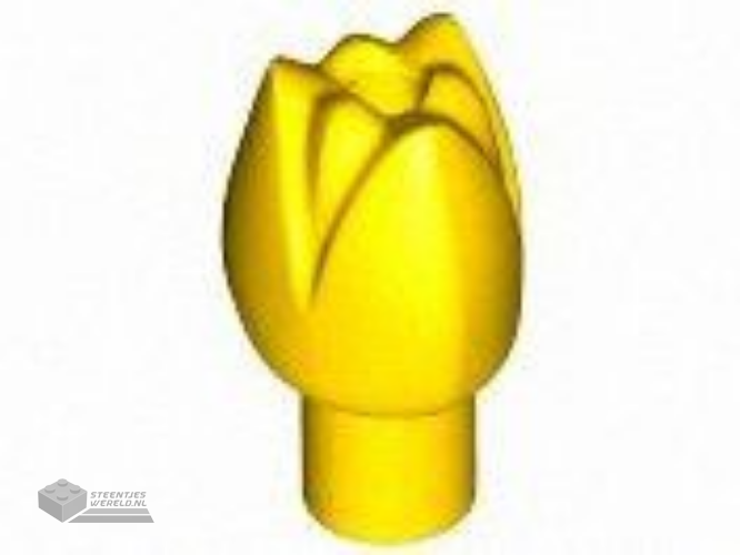 5903 – Plant Flower Tulip with Bar and Small Pin Hole