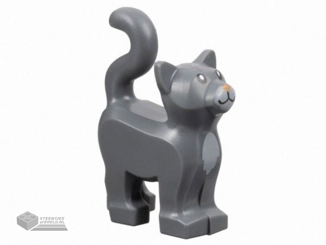 13786pb09 – Cat, Standing with Light Bluish Gray Chest and Muzzle and Nougat Nose Pattern