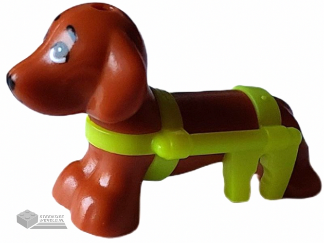 100559pb01 - Dog, Friends Style, Dachshund with Molded Neon Yellow Wheelchair Harness and Printed Eyes and Black Nose Pattern (Pickle)