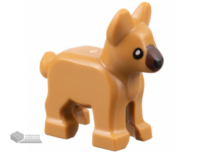 2889pb01 - Dog, Alsatian / German Shepherd, Puppy with Dark Brown Muzzle, Black Eyes and Nose Pattern
