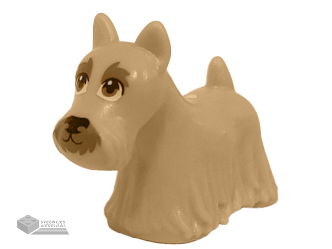 83188pb02 – Dog, Terrier Scottish (Scottie) with Dark Tan Eyes, Eyebrows, and Muzzle Pattern