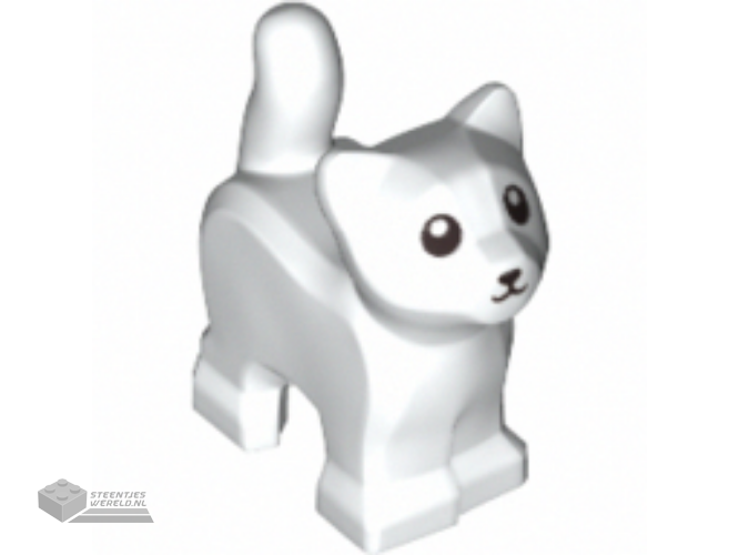 80686pb01 - Cat, Baby Kitten, Standing with Black Mouth, Nose, and Eyes with Pupils Pattern