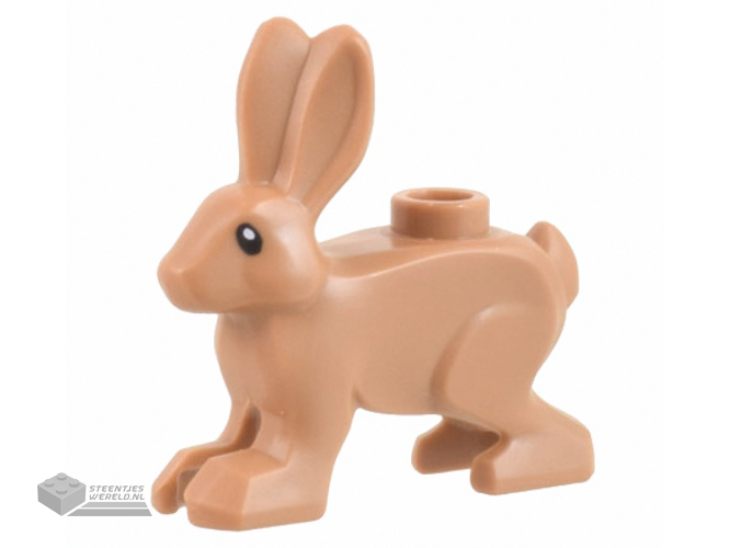 67900pb01 - Hare, Standing with Black Eyes and White Pupils Pattern